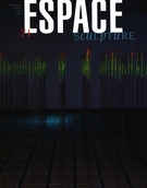 Cover of L’art réexposé (suite), Number 71, Spring 2005, pp. 5-50, Espace Sculpture