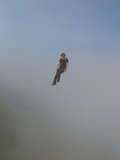 Cover of Sérendipité : l’intelligence accidentelle, Number 134, Winter 2020, pp. 8-113, Inter