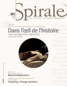 Cover of Dans l’oeil de l’histoire : avec Georges Didi-Huberman, Number 251, Winter 2015, pp. 3-91, Spirale