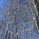 Couverture du numéro 'Artful Futures: Reflections on the Evolution of the Arts in Research' de la revue 'Art/Research International'