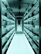 Couverture de Special Focus on Libraries and/as Extraction, Volume 10, 2024, Canadian Journal of Academic Librarianship / Revue canadienne de bibliothéconomie universitaire